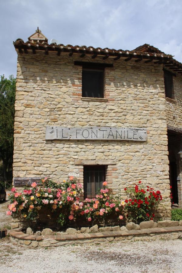 Casale Fontanile Bed And Breakfast Smerillo Bagian luar foto