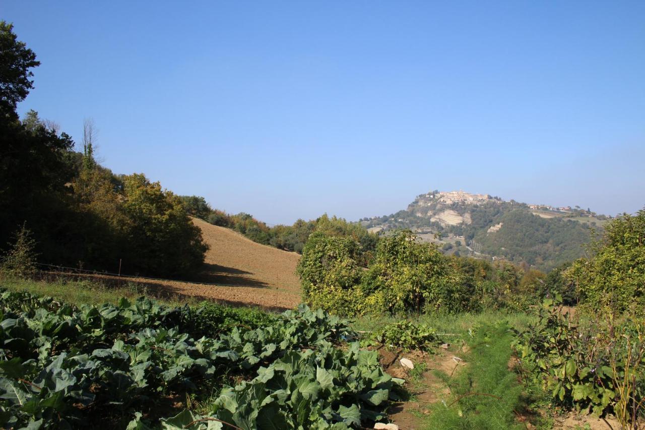 Casale Fontanile Bed And Breakfast Smerillo Bagian luar foto